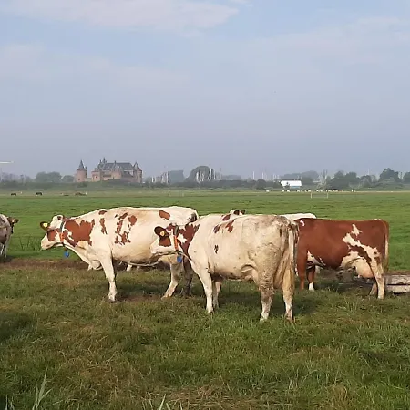 Bed & Breakfast My-a-mi-go-s *