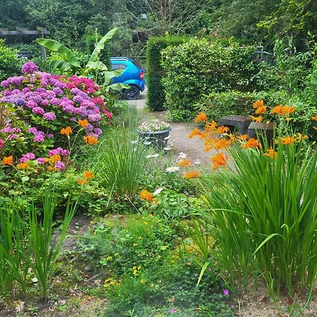 My-a-mi-go-s Bed & Breakfast *