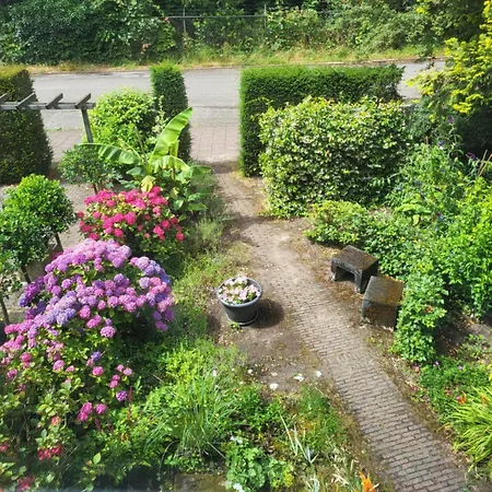 Bed & Breakfast My-a-mi-go-s *