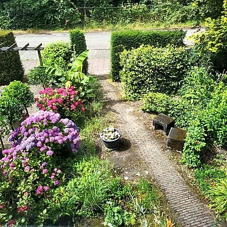My-a-mi-go-s Bed & Breakfast Muiderberg