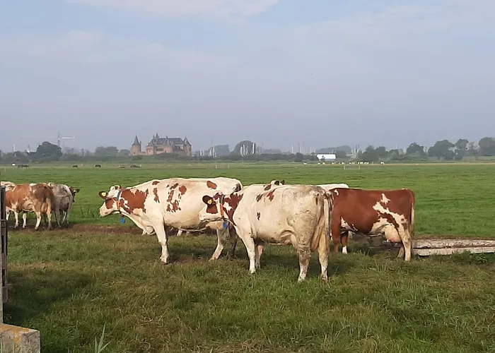 Nocleg ze śniadaniem My-a-mi-go-s *