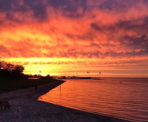 B&B My-a-mi-go-s Muiderberg